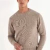 Taupe Merino Crewneck - Made In Italy -Pini Parma Clothing Store Taupe merino crewneck 2